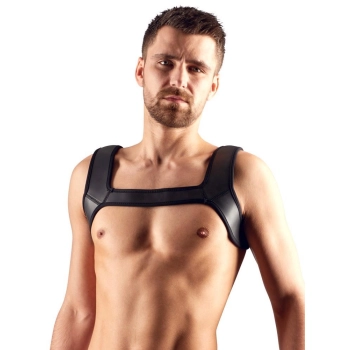 Mens Harness