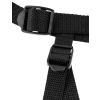 FFS Stay-Put Harness Black