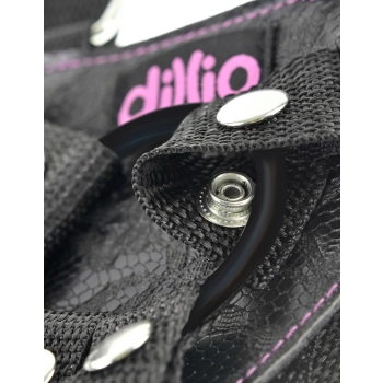 Dillio 6