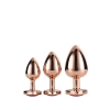 GLEAMING LOVE ROSE GOLD PLUG SET