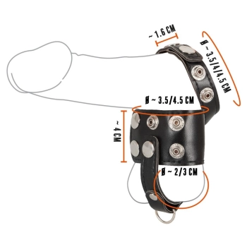 Ball Stretcher with Separator