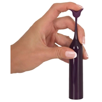 Spot Vibrator with 2 tips