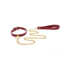 O-Ring Collar and Chain Leash