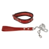 Leather Collar and Leash