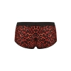 TRIBAL BRIEF (MAJTKI MĘSKIE/MENS BRIEF) M