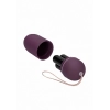 10 Speed Remote Vibrating Egg - Big - Purple