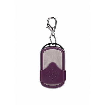 10 Speed Remote Vibrating Egg - Big - Purple