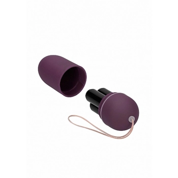 10 Speed Remote Vibrating Egg - Big - Purple