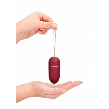 10 Speed Remote Vibrating Egg - Big - Red