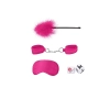 Introductory Bondage Kit #2 - Pink