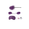 Introductory Bondage Kit #2 - Purple