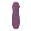 Stymulator-Vacuum stimulator Take it easy Ace Purple