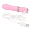 Pillow Talk - Flirty Bullet Vibrator Pink