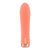 Peachy Mini Ribbed Vibrator