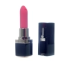 Stymulator-Lipstick Vibrator USB 10 functions